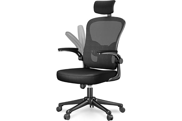 naspaluro Chaise Bureau avec Accoudoir Réglable, Fauteuil Ergonomique en Maille Respirante avec Soutien Lombaire, Dossier Inclinable et Hauteur Réglable, Noir