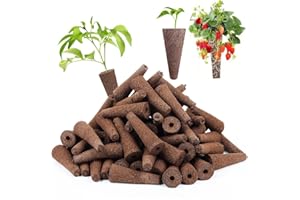 SIRLOMU 20 piezas cápsulas de semillas de inicio, kit de jardín interior, esponjas de inicio de siembra para cultivo en interiores, crecimiento de raíces, compatible con sistema hidropónico
