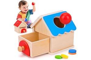 EICHHOO Toys for 1 2 3 Year Old Boys Girls Gifts: Wooden Baby Toy for 1-2-3 Year Old Toddlers | 1st Birthday Gifts for Boy Girl | Montessori Coin House Presents for 1-3 Kids Toddler Sensory Educational Toys
