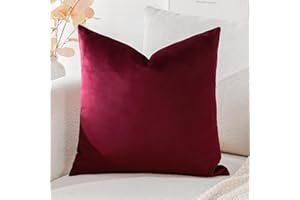 Artscope Federe Cuscini in Velluto Minimalista Copricuscino Colorato per la Decorazione Domestica Soggiorno Camera da Letto Divano 60x60cm, Vino Rosso