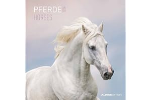 Alpha Edition Calendario 2024 da muro CAVALLI, 12 mesi, 30x30 cm