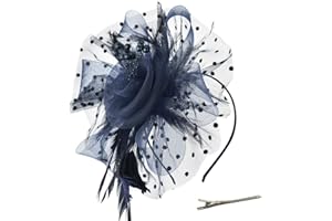 DRESHOW Fascinators Hat Flower Mesh Ribbons Feathers on a Headband and a Forked Clip Cocktail Tea Party Headwear for Girls and Women
