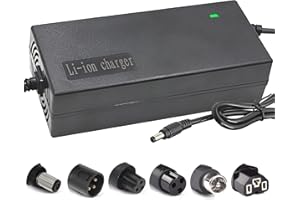 RAOKSUNE 29.4V 42V 54.6V 58.8V 67.2V 84V 96.6V Li-ion battery multi-function charger 2A 5A with cooling fan 24V 36V 48V 51V 60V 72V (54.6V 2A with fan)