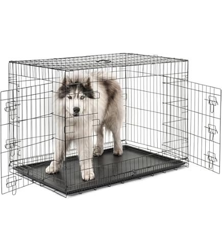 Yaheetech Hundekäfig 62 x 42 x 47 cm klappbar mit Trennwand, 2 Türen, Hundebox für zuhause mit ausziehbare Bodenschale, Transportkäfig Auto, Hundetransportbox Drahtkäfig für Welpe Katzen, S, Schwarz Yaheetech Hundekäfig 62 x 42 x 47 cm klappbar mit Trennwand, 2 Türen, Hundebox für zuhause mit ausziehbare Bodenschale, Transportkäfig Auto, Hundetransportbox Drahtkäfig für Welpe Katzen, S, Schwarz