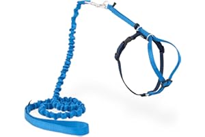 PETSAFE Uprząż dla kotów Easy Walk z elastyczną smyczą - Bezpieczny spacer - Regulowany rozmiar - Średni (M), Królewski Niebieski