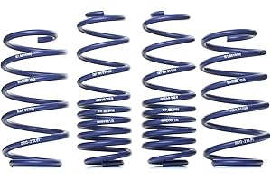 H&R Fahrwerksatz, HR 290132 Federn Sportfedersätze/Performance Lowering Springs von H&R (29013-2) Federsatz Federung/Dämpfung Schraubenfeder, Federung
