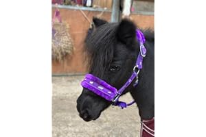 Equipride Licol de cheval en nylon synthétique doublé - Imprimé chevaux - avec longe assortie (Violet - Poney)