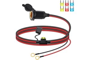 RIIEYOCA 12V/24V Cigarette Lighter Socket Extension Cable, Fixed Thread Car Cigarette Lighter Female Socket to O Ring Terminal Cord with Waterproof Cover and 20A Fuse for Cars,Boats, etc.(1M)