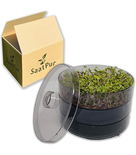 Zelf microgreens kweken, hoe doe je dat? (professionele gids