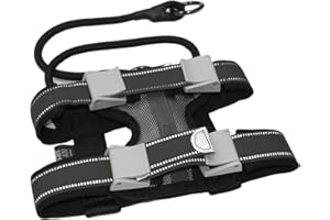 Cesar Millan Pack Leader Collar™ – obroża treningowa zaklinacza psów Cesar Millan (duża, niebieska)