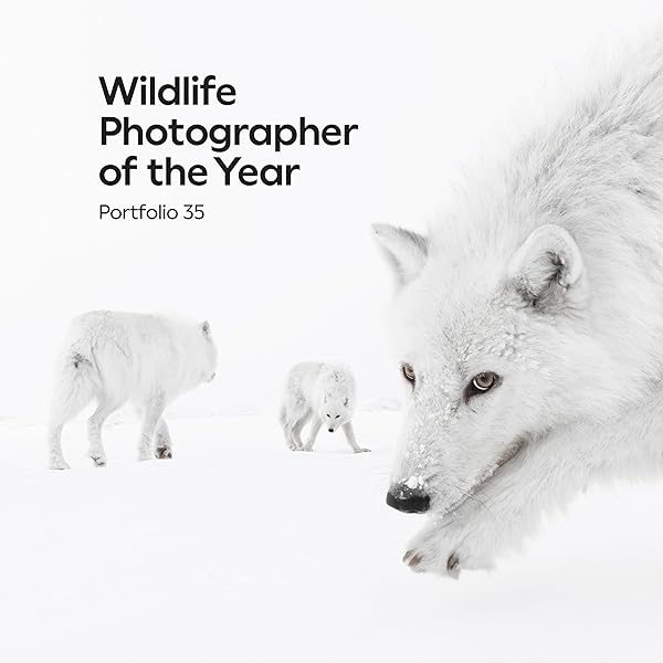 60 Years of Wildlife Photographer of the Year: How Wildlife