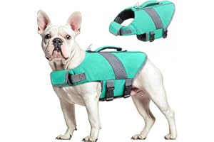 Oslueidy Gilet de Sauvetage pour Chien Haute Flottabilité, Gilet Sauvetages pour Chien de Requin Réfléchissant Sécurité pour Animaux Compagnie Maillot Bain (Bleu Clair, L)