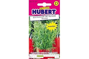 GRAINES HUBERT SEMENCES & ENGRAIS MAIROL Graines d'Estragon de Russie Vivace - 0,1 gramme