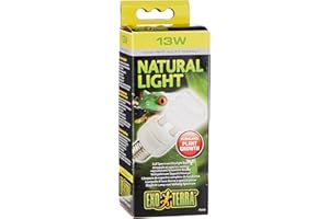 Exo Terra Natural Light, full spectrum daylight lamp, compact lamp with ideal daylight spectrum for all reptiles and amphibians, 13W, E27 socket (Pack of 1)