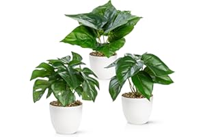 PASCH® Zestaw 3 sztucznych roślin jak prawdziwe (18 cm) w odpornych na pękanie doniczkach z melaminy, sztuczne rośliny w doniczce, sztuczne rośliny w doniczce, sztuczne kwiaty