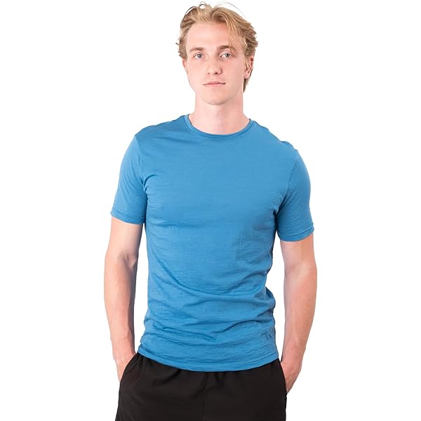 ARCTERYX Herren Funktionsshirt Ionia Merino Wool Hoodie grün
