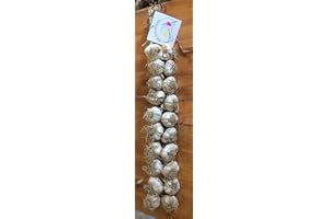 AGRICOLA LA TRECCIA Aglio Rosso di Proceno - n. 2 trecce con 20 teste grandi (2x20TG) - 1^ class. Italia