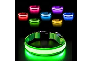 PcEoTllar Leuchthalsband Hund Aufladbar, Hundehalsband Leuchtend Wasserdicht, Blinkend LED Halsband für Hunde mit 7 Farben, Einstellbare LED Hundehalsband für Kleine Große Hunde, Grün-M