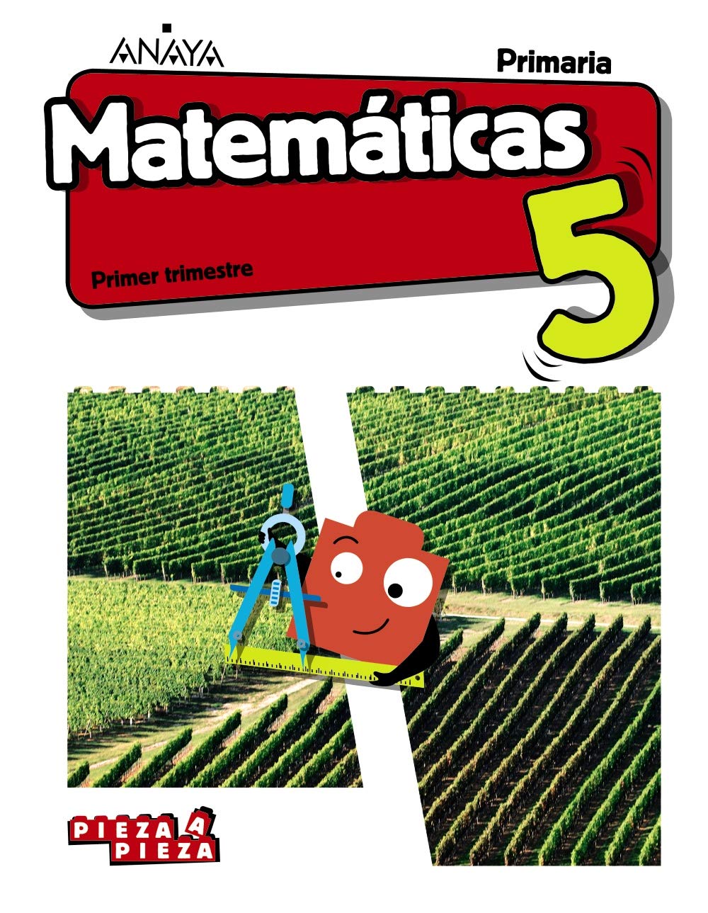 Matemáticas 5