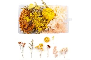 WJIAEER Trockenblumen Zum Basteln Trockenblumen Gepresste Blumen Trockenblumen Deko Getrocknete Blumen(S)