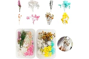 CYIOU 2 Kisten Getrocknete Blumen für Epoxidharz Gepresste Blumen Klein Deko DIY Getrocknet Blumen für Kunst Basteln DIY Harz Scrapbooking Handwerk Karten Machen