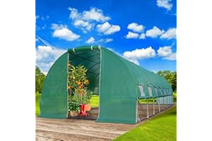 BRAST® Gewächshaus Foliengewächshaus mit Stahlfundament | 2x3m - 3x8m | inkl. Erdanker & aufrollbare Seitenwände mit Moskitonetz | UV-stabilisierte & verstärkte Gitterschutzfolie 200g/m² | 300x800cm