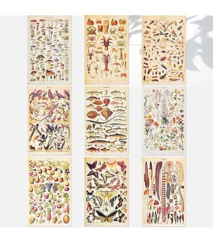 Tableau Toile Fromages De France 30x20cm - Impression Encadrée Sur Bois - Décoration Murale Gourmande