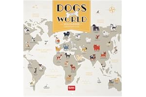 Legami - Calendario da Parete 2024, 12 Mesi e Planner annuale, Spazio per Note e Appunti, Numero della Settimana, Segni zodiacali e Festività internazionali, Cellophanatura singola, 30x29 cm