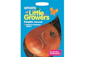 Unwins Pictorial Packet - Little Growers Pumpkin Mammoth - 18 Seeds