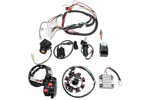 Riloer Kit complet de faisceau de câblage avec bobine stator CDI pour moto tout-terrain chinoise, quad, CG125-250CC