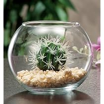 Vaso di vetro Rotondo | 12 × 15 cm acquistare da