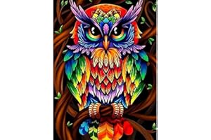 HMCEY DIY Diamond Painting Kits, 5D Diamond Painting for Adults, Crystal Art Kits for Kids, Art Diamond Stitch Embroidery Paintings for Home Wall Hallway and Stairs Decoration, 12x16in