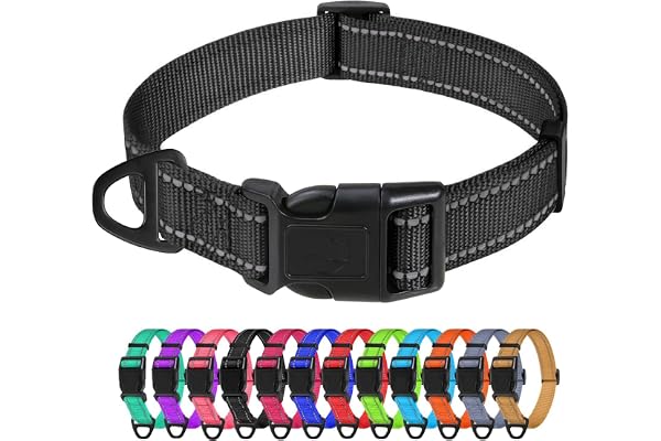 TagME Collier pour Chien, Collier en Nylon Réfléchissant Réglable Classique Convient pour Moyens Chiens, Noir, 2.5cm Largeur