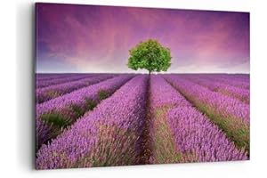 ARTTOR Cuadros Decoracion Salon Pradera lavenda verano paisaje Lienzos decorativos 120x80cm Cuadro Sobre Lienzo Moderno Dormitorio Cuadros Pared Imágenes Wall Art Prints Decor Grande XXL AA120x80-2605