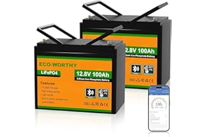 ECO-WORTHY 2Pack 12V 100AH LiFePO4 Battery for RV, Boat, Camping,Off Grid System-Group 24 Size with Bluetooth & Low Temp Protection