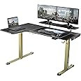 L Shaped Electric Height Adjustable Standing Desk Keyboard Tray,61" Stand Up Corner Computer Desk,Dual Motor Sit Stand Home Office Desk with Monitor Riser Memory Preset Mouse Pad RGB Lights