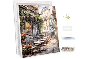 MEIYUDA Dipingere con i Numeri Adulti con Telaio Vista Strada, Paesaggio fai da te Paint by Numbers Quadri da Dipingere Numerat, Pittura a Olio Kit, Pittura Adulti Decora la Casa Regalo 30x40cm