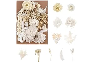 jatimdotin Fiori Secchi Naturali, Fiori Secchi Decorativi, Fiori Secchi Artigianato per Scrapbooking Candele Resina Carta Nozze Decorazione (Bianco)