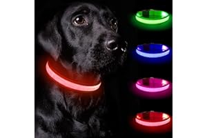 Nepfaivy Collare Luminoso per Cani Ricaricabile - Collare per Cani a Led con Lunghezza Regolabile, 3 Modalità di Illuminazione per la Sicurezza Notturna, Rosso