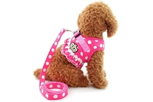SELMAI Pegasus Puppy klein Katze Mädchen Hund Vest Dots Harness Leine-Set Mesh Gepolsterte kein Ziehen Blei Pink L