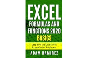 Excel Formulas and Functions 2020 Basics: Step-by-Step Guide with Examples for Beginners (Excel Academy)
