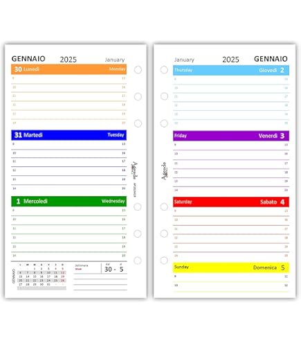 Ricambio Agenda Organizer 9,5x17cm A Righe - 80gr, 6 Fori Per 2025 - Foto 7