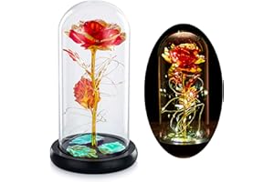 Glasseam La Bella Y La Bestia Se Levantó En Una Cúpula De Cristal con Luces LED Blancas Cálidas Flores De Cristal Eternas Regalo De Cumpleaños Encantada para Ella para El Aniversario