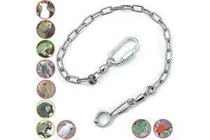 ebamaz Parrot Foot Chain for Small Medium Large Birds Stainless Steel Anklet Ring for Pet Training (NO.12 (11.5mm))