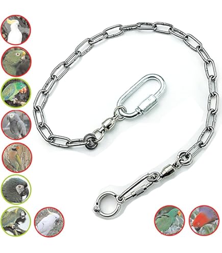 10 Stück Edelstahl Vogel Fußringe | Verstellbare Öffnungsringe Für Papageien & Vögel