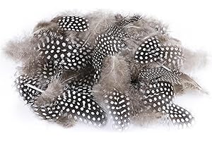 ‎ENLACE ENLACE 100 Stück Perlhuhnfedern, Federn zum Basteln, 4,5-10 cm Natürliche Gesprenkelte Federn, Bastelfedern für DIY Ohrring Hochzeit Traumfänger Kopfschmucksfedern, Natürliche Farbe