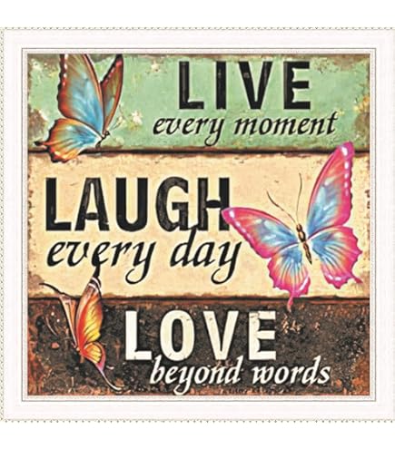 Kit De Point De Croix Perroquet Pour Débutants Kits De Broderie