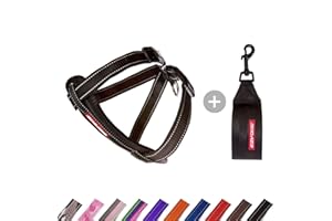 EzyDog Adjustable Chest Plate Harness - Small, Medium, XL, & Large Dogs - Step-In, No Pull, Comfort Soft-Touch, Reflective, Durable - For Active Pets