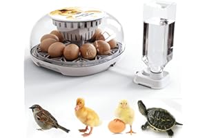 SSZYace Eierbrutkasten 12-24 Eierbrutkasten mit automatischer Eierwende und Feuchtigkeitskontrolle Automatische Brutkästen für Brathühühner Automatisches Nachfüllen von Wasser für Eier