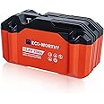 ECO-WORTHY 20Ah LiFePO4 Battery 12V Lithium Battery, 4000+ Deep Cycles, BMS Protection, Compact and Lightweight Design with DC Adapter for Camping, Fishing, RVing and Other Outdoor Uses